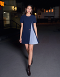 Contrast Pleated Panel Short Sleeve Dress