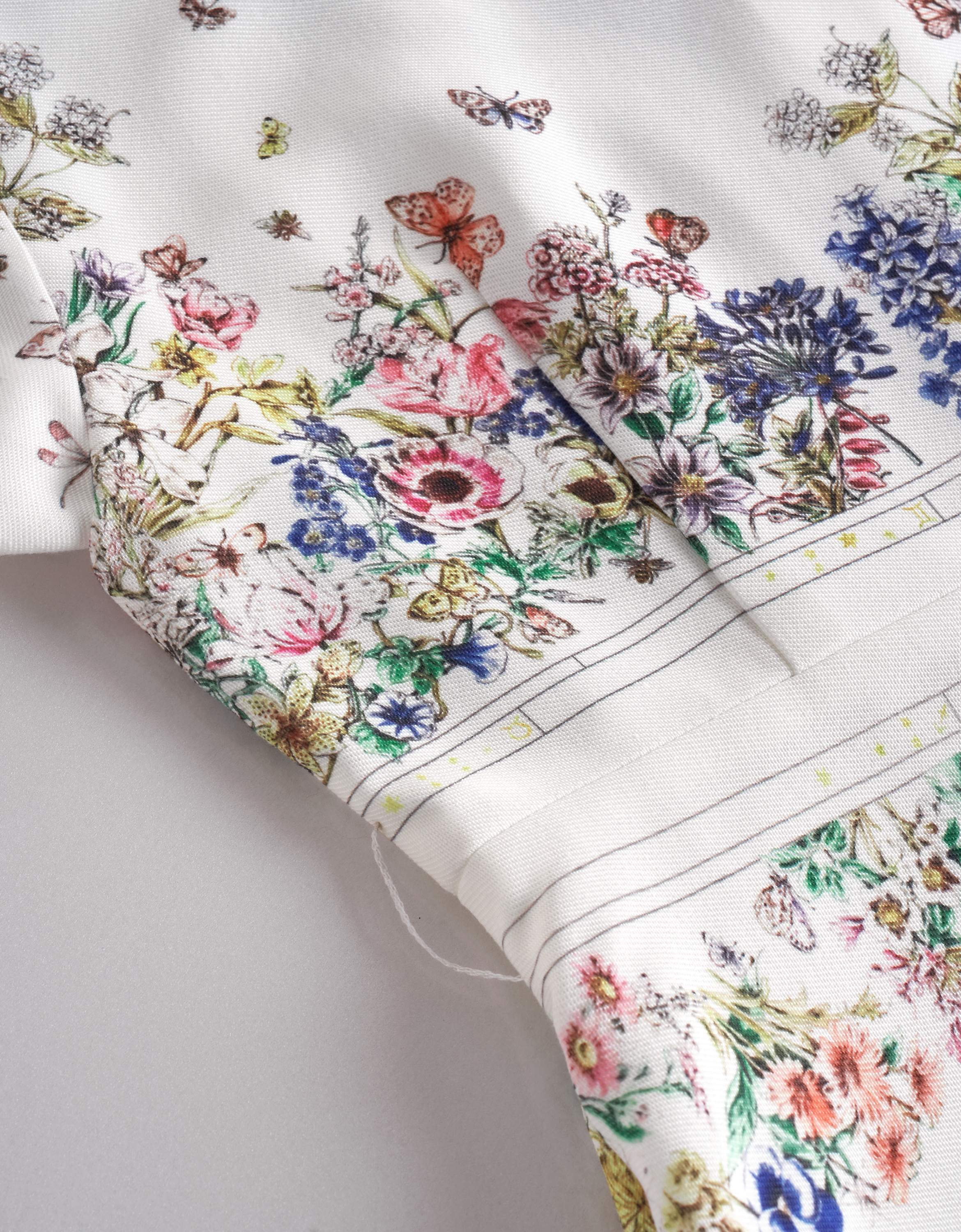 botanical print(a27649)