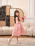 Peter Pan Collar Cap Sleeves Jacquard Dress